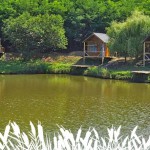 Lacul Sânmărghita, deschis pentru pescuit – cabane moderne, pontoane, lac populat cu pește
