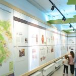 Parcul Natural Vânători Neamț – implementarea proiectului de conservare prin procese naturale și dezvoltare sustenabilă prin educație și ecoturism