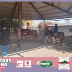 Experiențe alături de cai pentru copii vulnerabili din comunitate, la Centrul de Echitație Hippolita