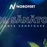 Norofert: profit și cifră de afaceri în creștere în primele 9 luni din 2024